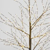 Christmas Tree - BLACK FOREST LIGHT UP TREE WITH 500 LIGHTS 120CM