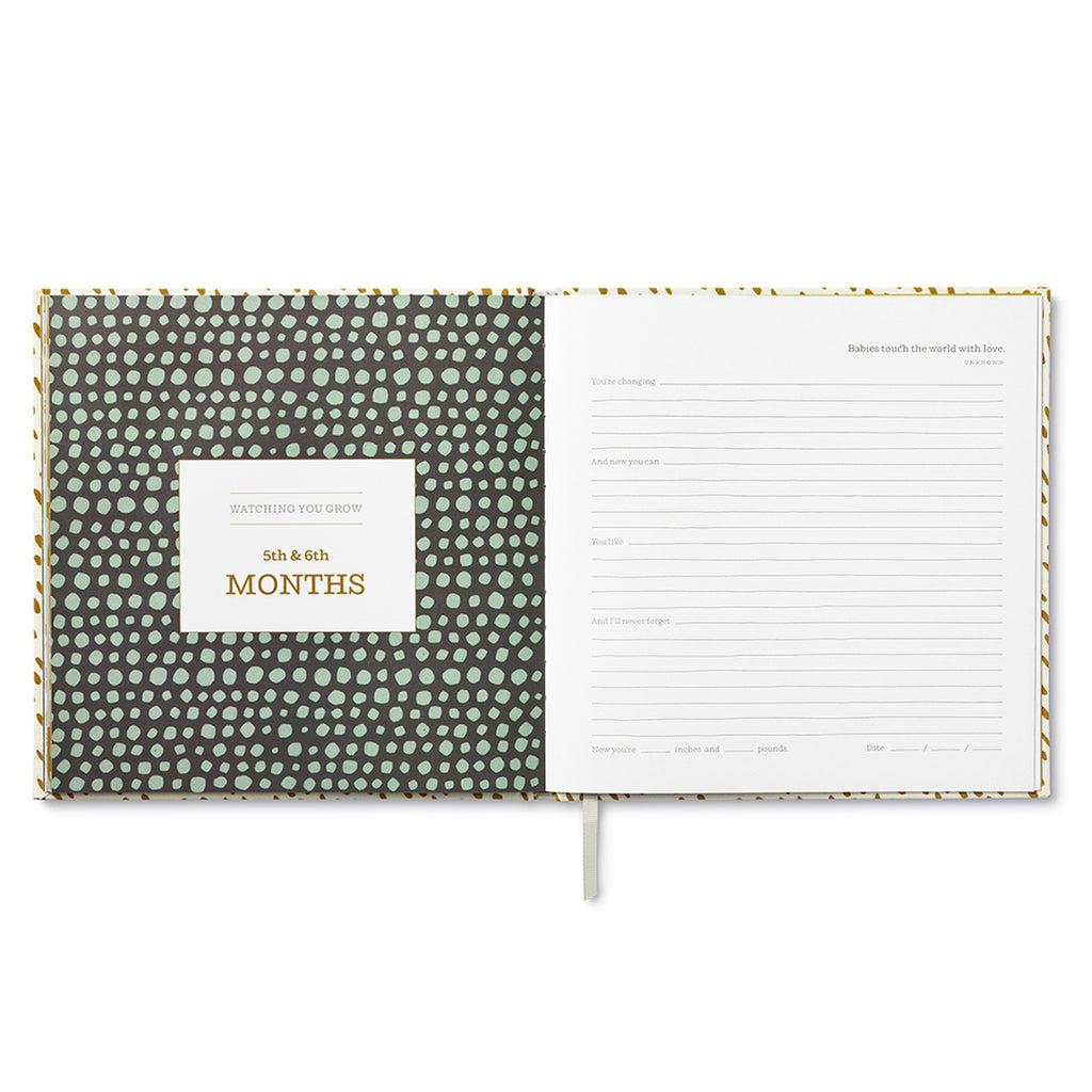 You're Here: A Keepsake Baby Book