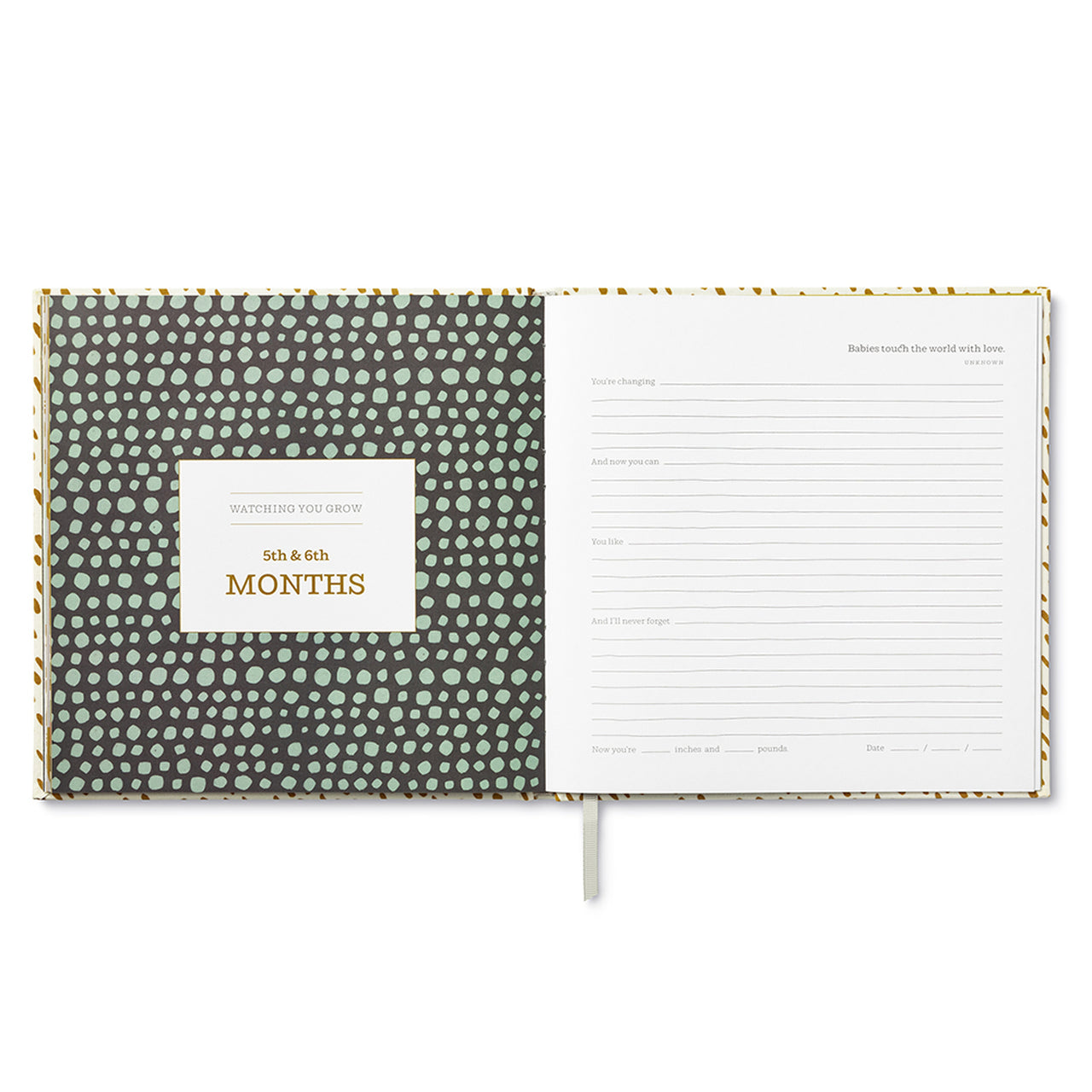 You're Here: A Keepsake Baby Book