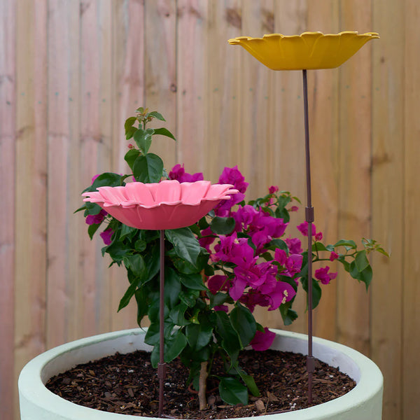 Bamboo Bird Bath - Sunflower Pink