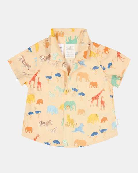 Toshi Shirt Banjo - Driftwood