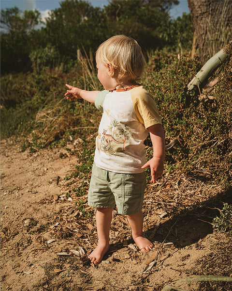 Minhaha Bébé BOYS SAGE GREEN SHORTS