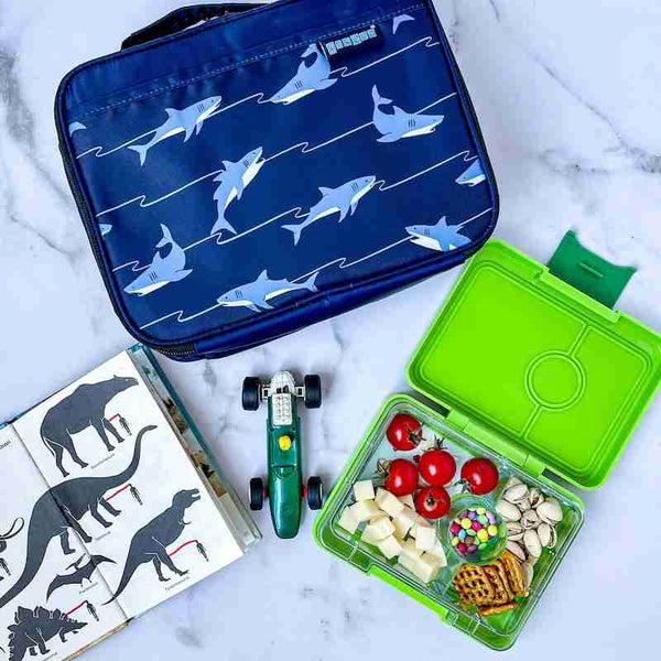 Yumbox Snack 3 Compartment Bento Box: Surf Blue - Dinosaur