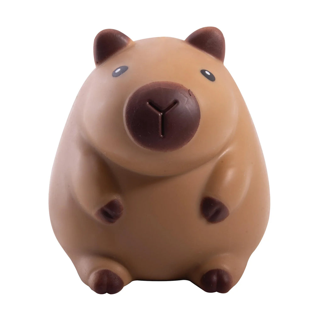 Sensory Toy - Capybara
