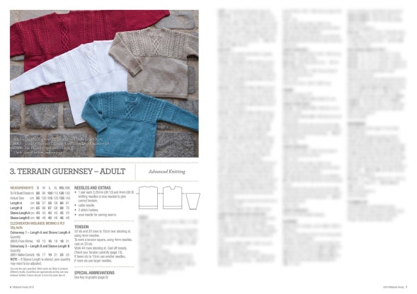 Cleckheaton Midlands Family Pattern Book 3019