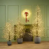 Christmas Tree - BLACK FOREST LIGHT UP TREE WITH 900 LIGHTS 150CM
