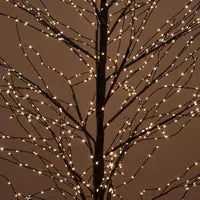 Christmas Tree - BLACK FOREST LIGHT UP TREE WITH 900 LIGHTS 150CM