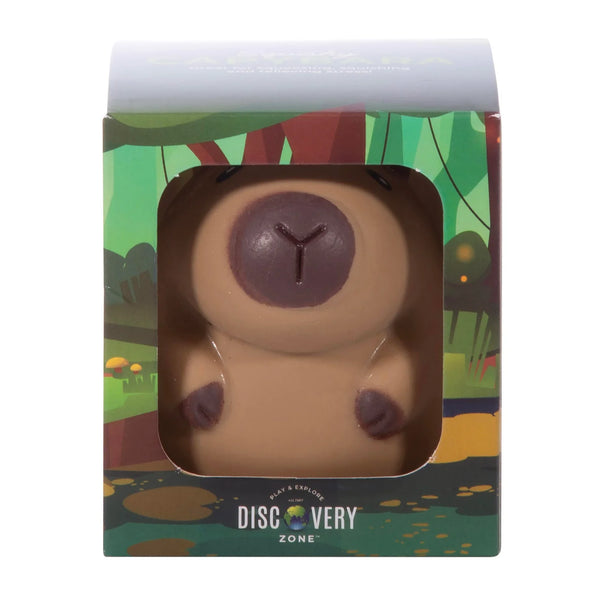 Sensory Toy - Capybara
