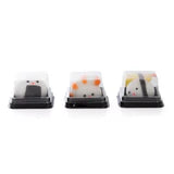Sensory Toy - Sushi