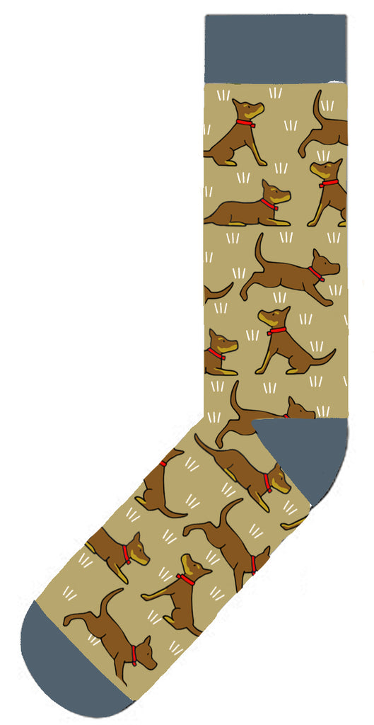 Red Tractor Designs - Cotton Socks Red And Tan Kelpies